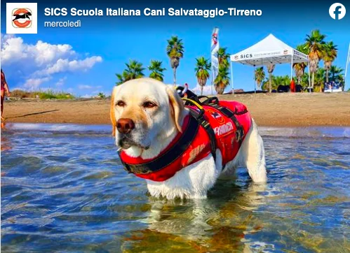 Ricordiamo con orgoglio Mira